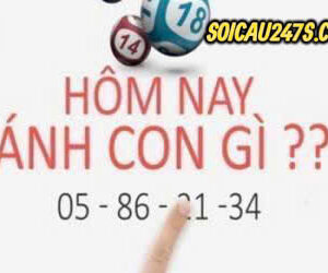 Hướng dẫn soi cầu rồng bạch kim 88