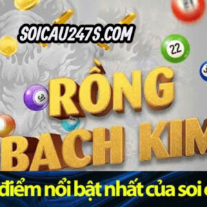 Hướng dẫn soi cầu rồng bạch kim 247
