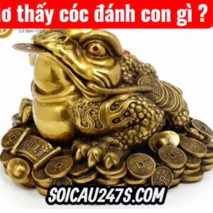 Nằm mơ thấy cóc vào nhà đánh con gì ?