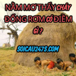 Nằm mơ thấy cháy đống rơm có điềm gì ?