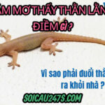 Nằm mơ thấy thằn lằn có điềm gì ?