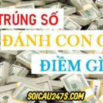 Nằm mơ thấy trúng vé số có điềm gì ?