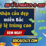 Soi cầu ngày 21-11-2025