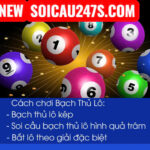 Bí kíp nuôi lô bạch thủ miền bắc