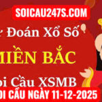 Soi cầu ngày 11-12-2025