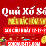 Soi cầu ngày 12-11-2025