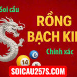 Soi cầu rồng bạch kim 247