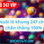 Nuôi lô khung 247 VIP