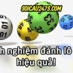 Bí kíp bắt lô rơi hiệu quả năm 2026