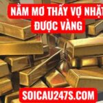 Nằm mơ thấy vợ nhặt được vàng