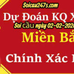 Soi cầu 247 ngày 02-02-2026